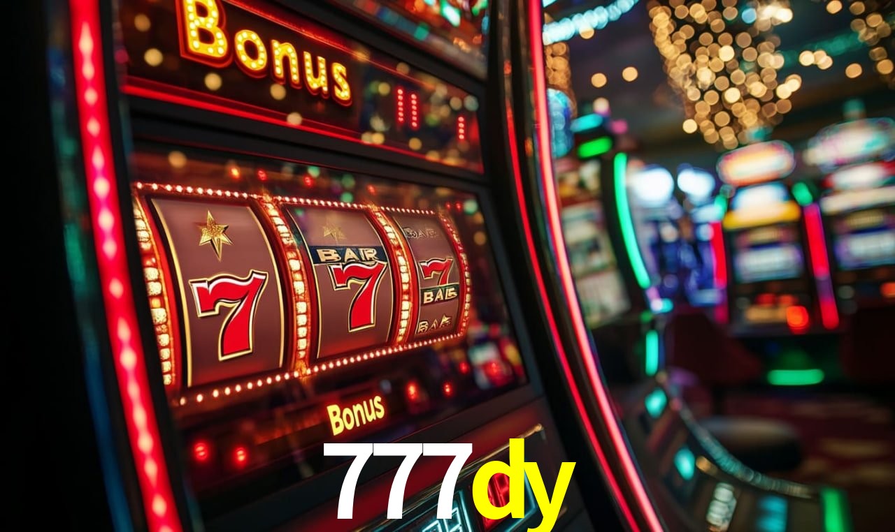 777dy bet